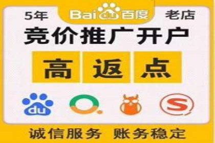 某电商平台的SEM服务全解析